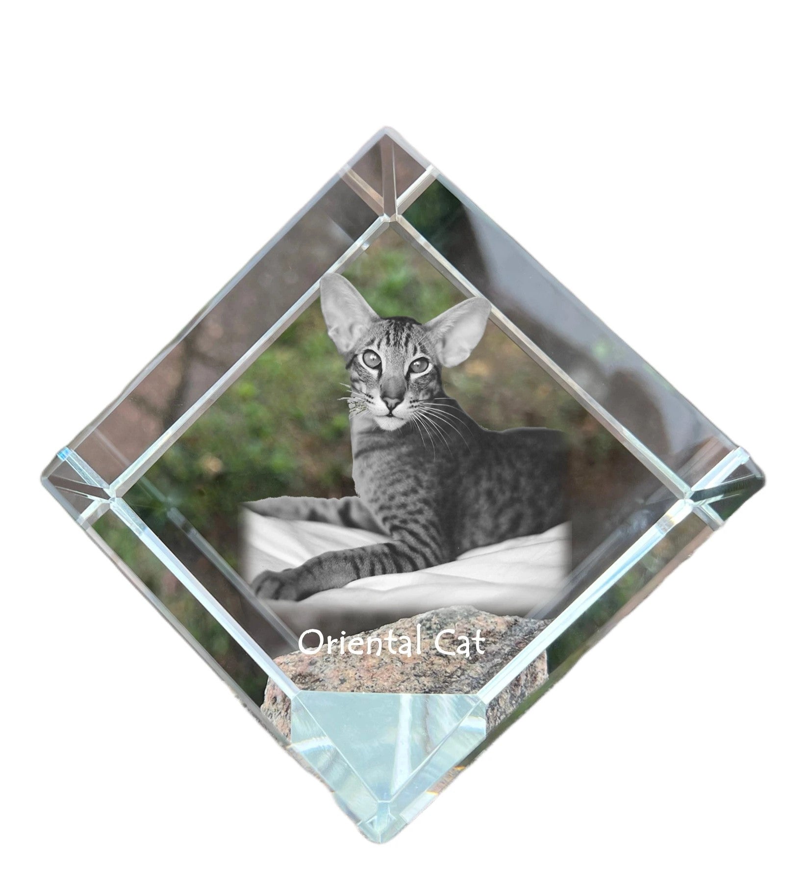 Oriental - crystal cube with a picture of a cat, crystal with a picture of a horse, cubic paperweight by Art-Dog brand