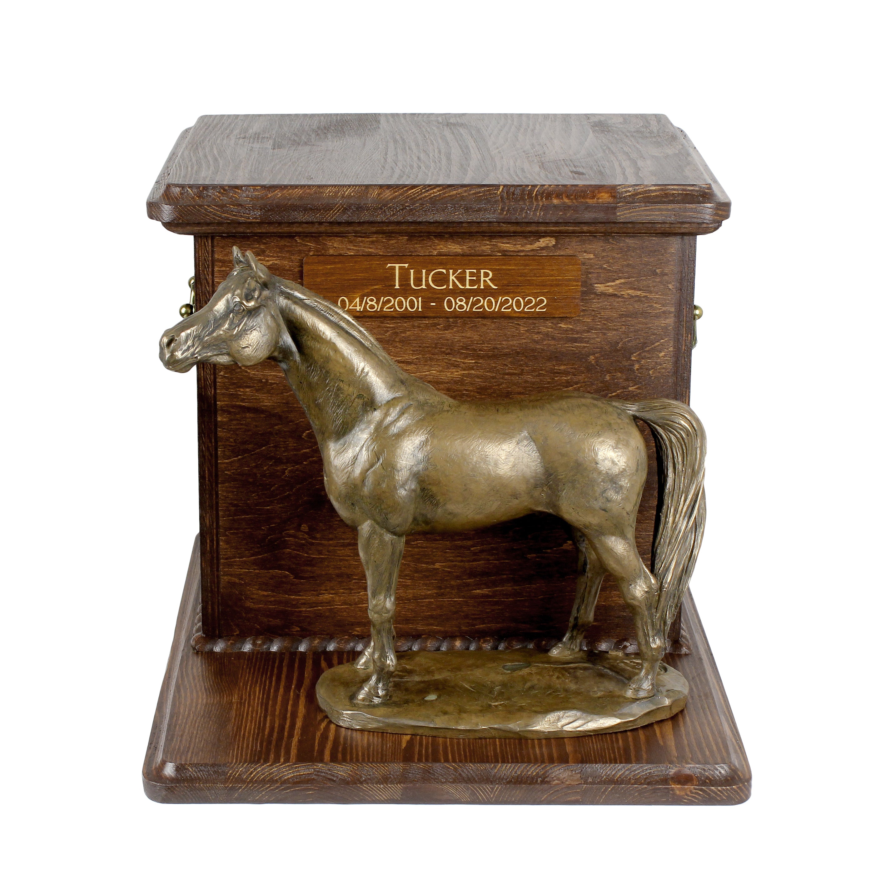 Australian Stock Horse - urn for horse ashes with a statuette, personalized urn with engraving, large box for horse ashes from the Art-Dog brand