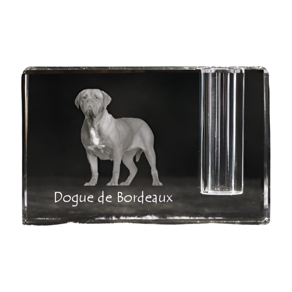 Dogue de Bordeaux, French Mastiff, Bordeauxdog - Pen stand, crystal organiser with dog photo, unique desk decoration by Art-Dog brand