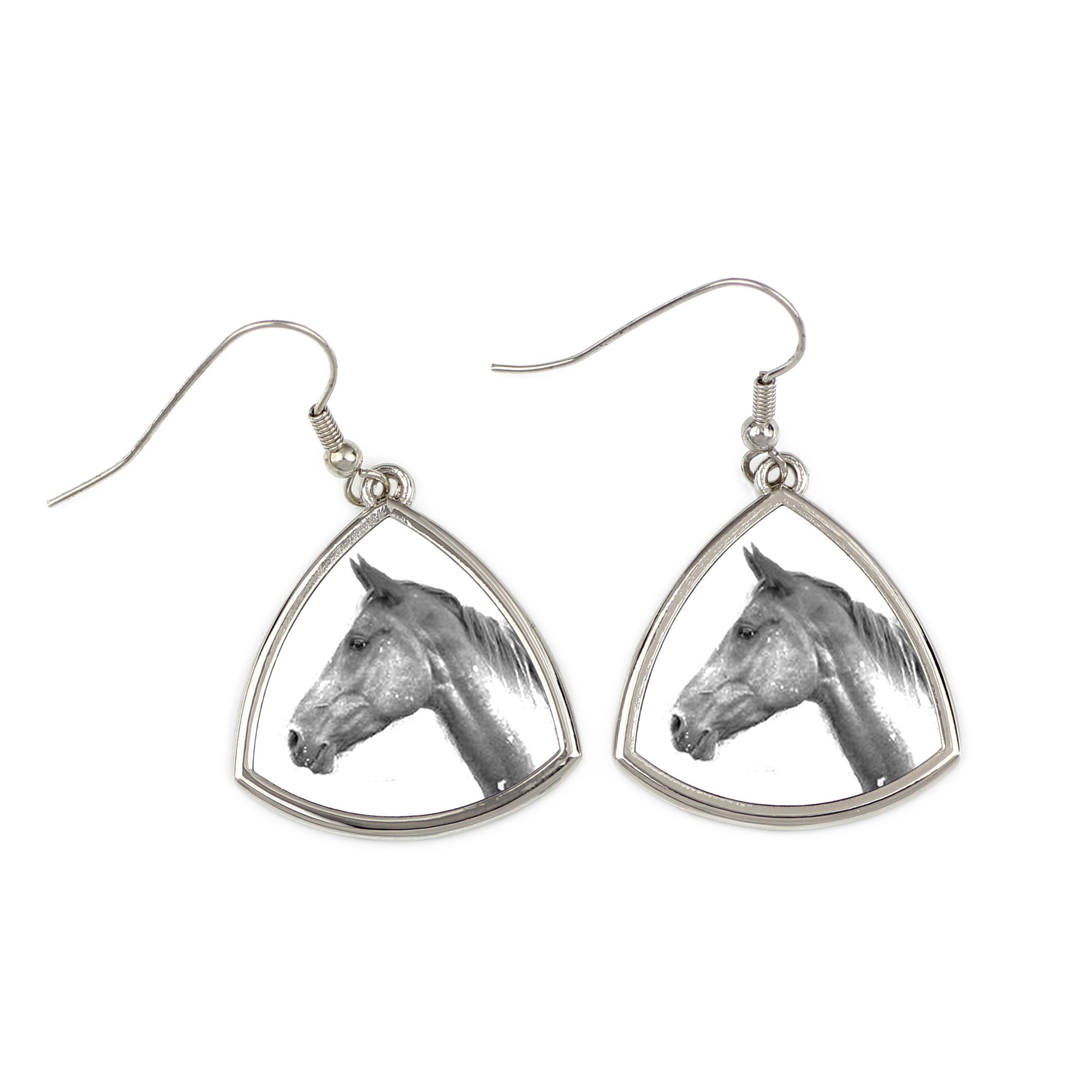 Akhal-Teke - earrings with a horse, hanging earrings with a picture, personalized jewelry with Art-Dog brand print