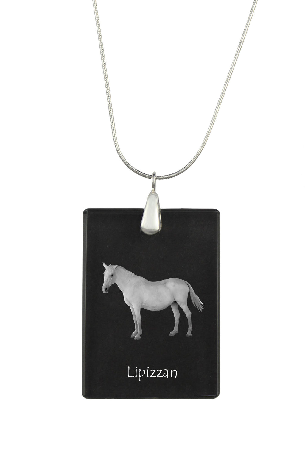 Lipizzan - Crystal pendant with horse, silver necklace with photo, personalised pendant by Art-Dog brand