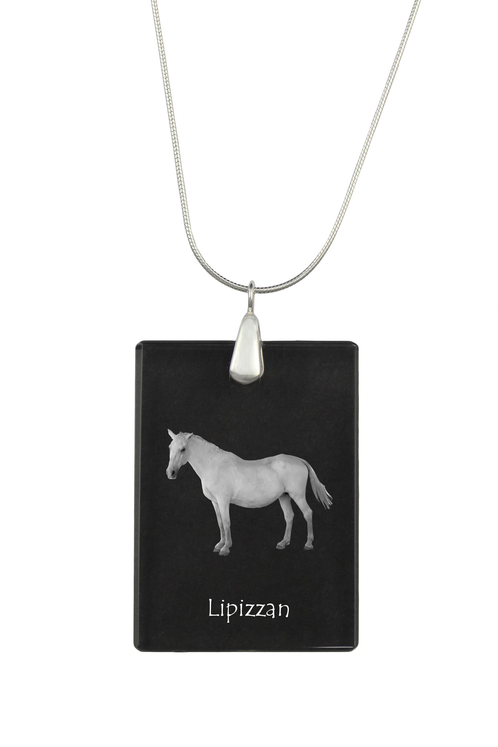 Lipizzan - Crystal pendant with horse, silver necklace with photo, personalised pendant by Art-Dog brand