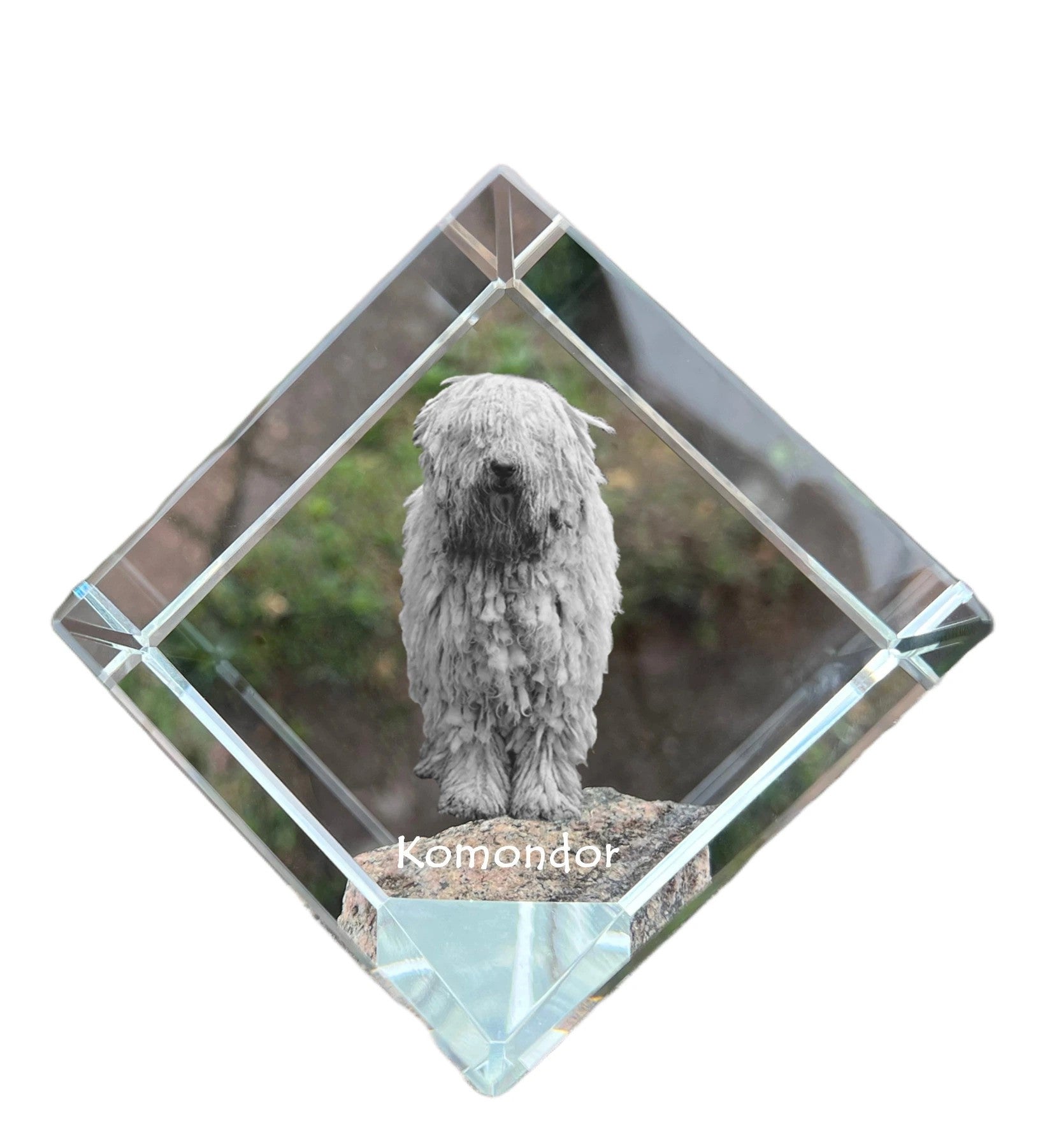 Komondor, Hungarian sheepdog, Mop Dog - crystal cube with a photo, photo of a horse in crystal, cubic paperweight from Art-Dog brand