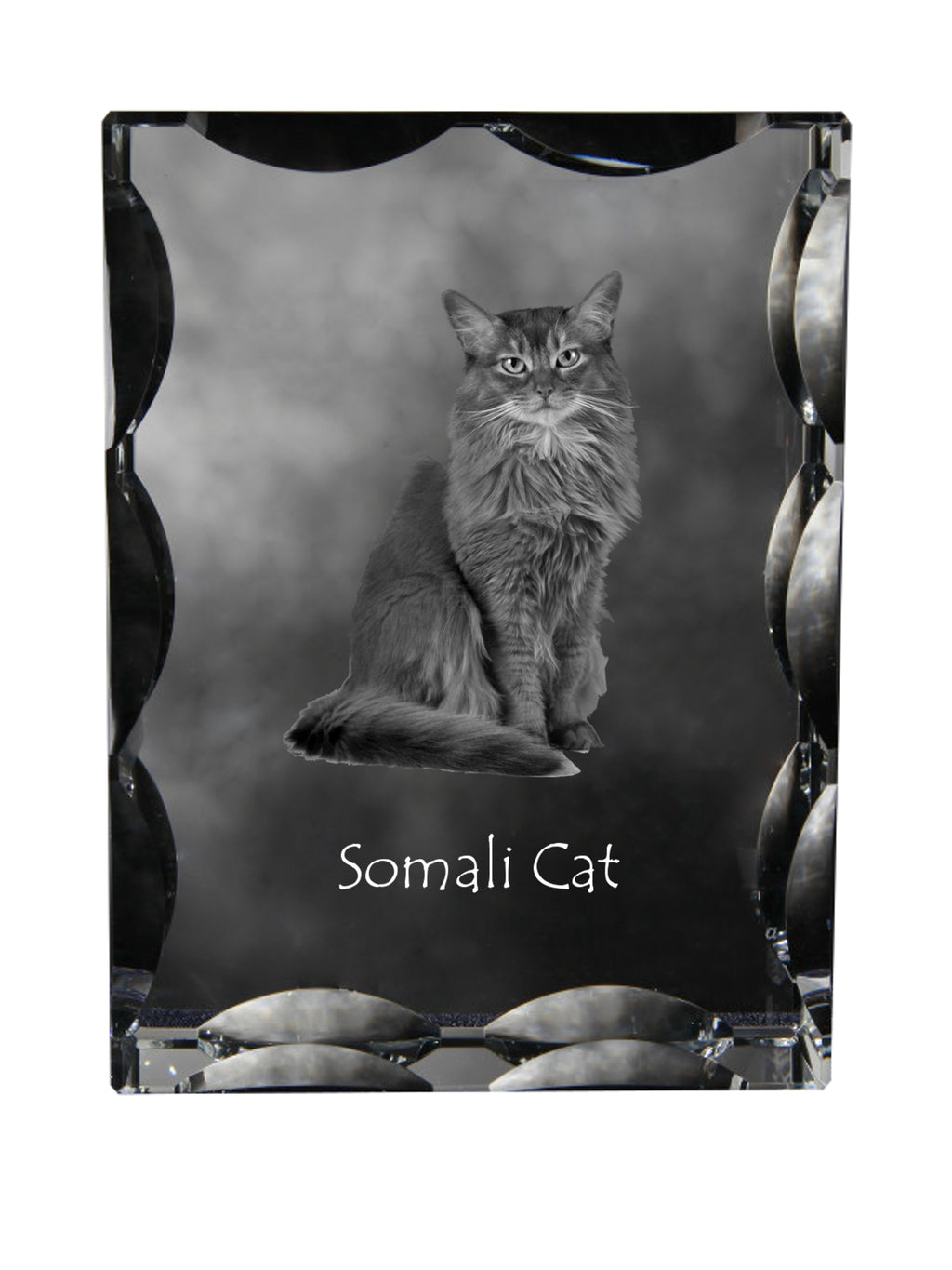 Somali - crystal with a cat picture, glass statuette with a picture, unique frame with a picture from Art-Dog brand