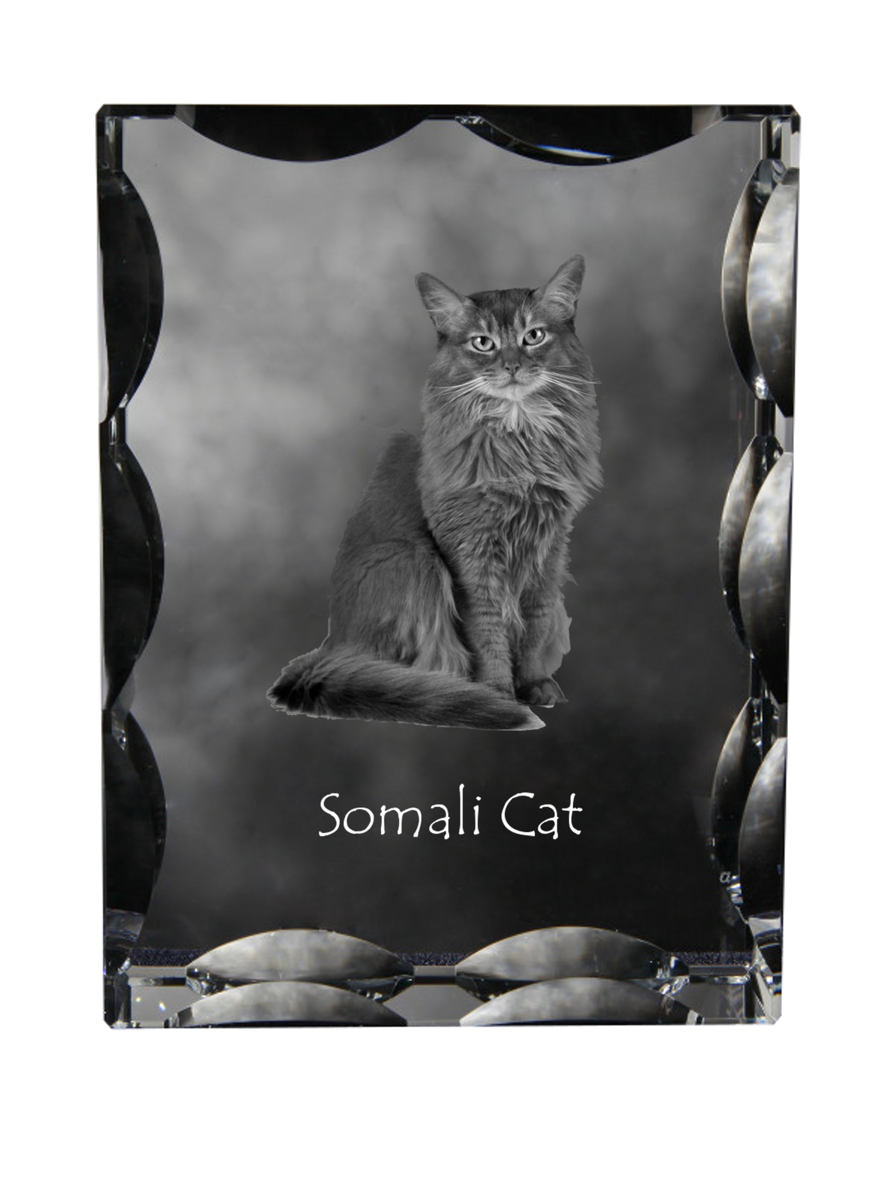 Somali - crystal with a cat picture, glass statuette with a picture, unique frame with a picture from Art-Dog brand