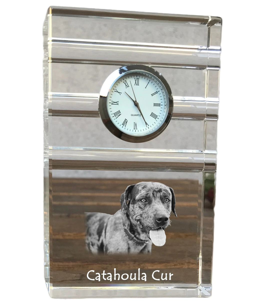 Catahoula Leopard Dog, Catahoula Cur - glass clock with a photo, photo of a dog in crystal, personalized standing office clock by Art-Dog brand