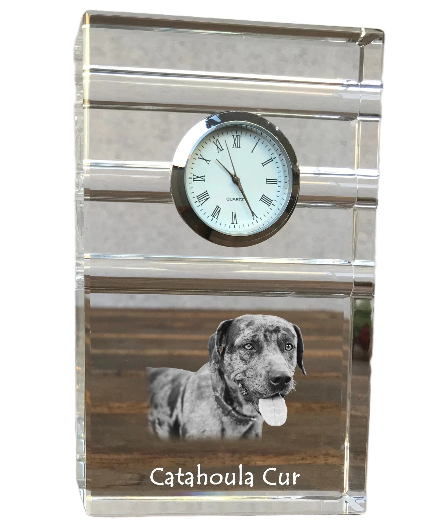 Catahoula Leopard Dog, Catahoula Cur - glass clock with a photo, photo of a dog in crystal, personalized standing office clock by Art-Dog brand