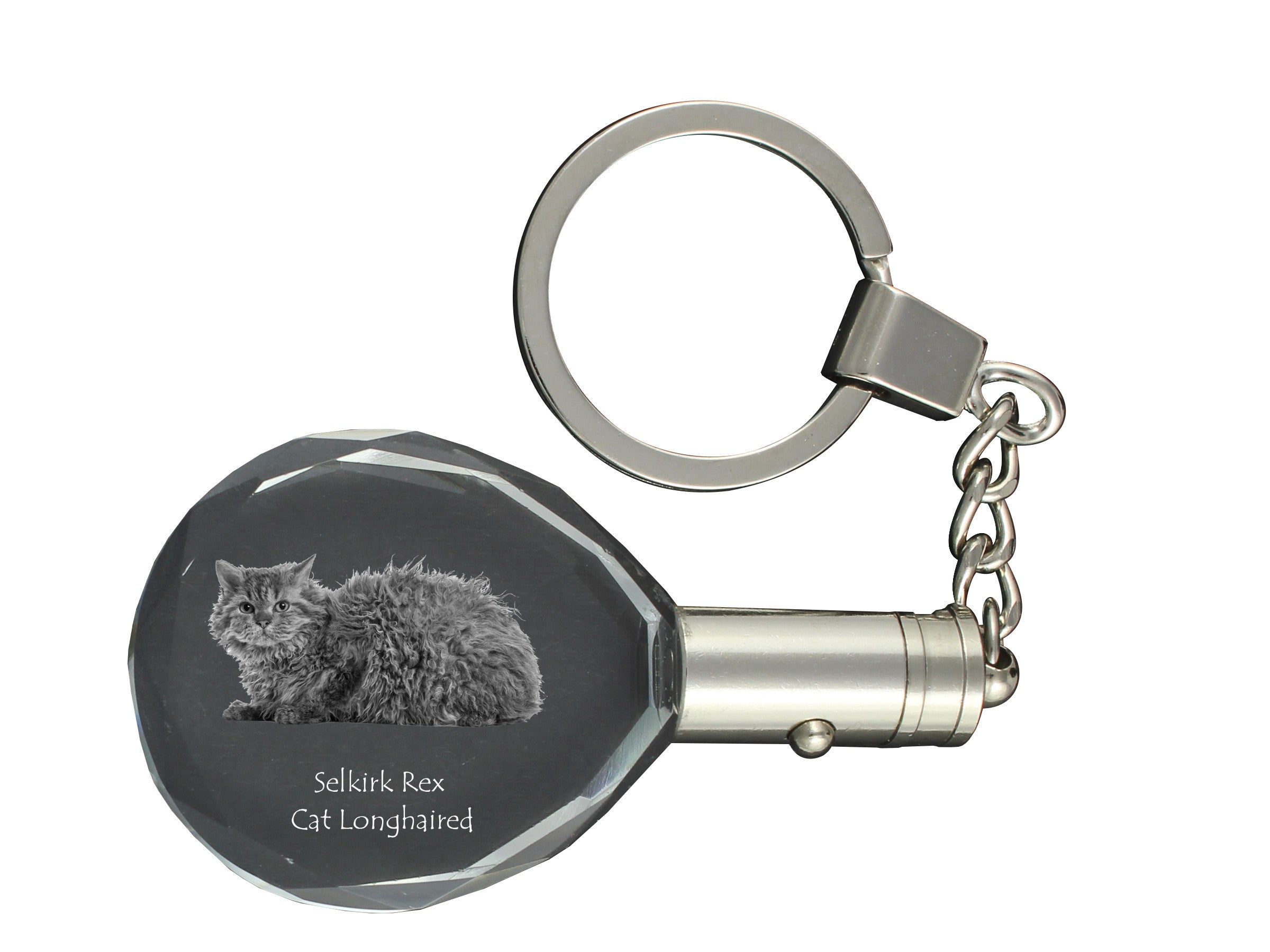Selkirk Rex Longhaired - Fob with cat photo, crystal key ring in gift box, unique gift by Art-Dog brand