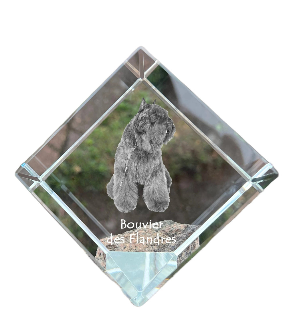 Bouvier des Flandres, Flanders Cattle Dog - crystal cube with a photo, photo of a horse in crystal, cubic paperweight from Art-Dog brand