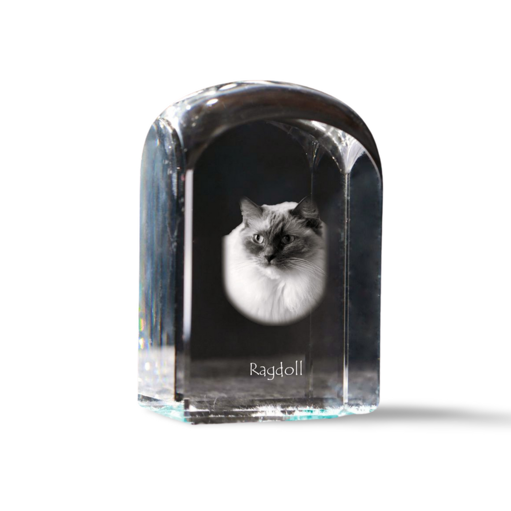 Ragdoll - crystal cube with a photo, photo of a cat in crystal, cubic paperweight from Art-Dog brand