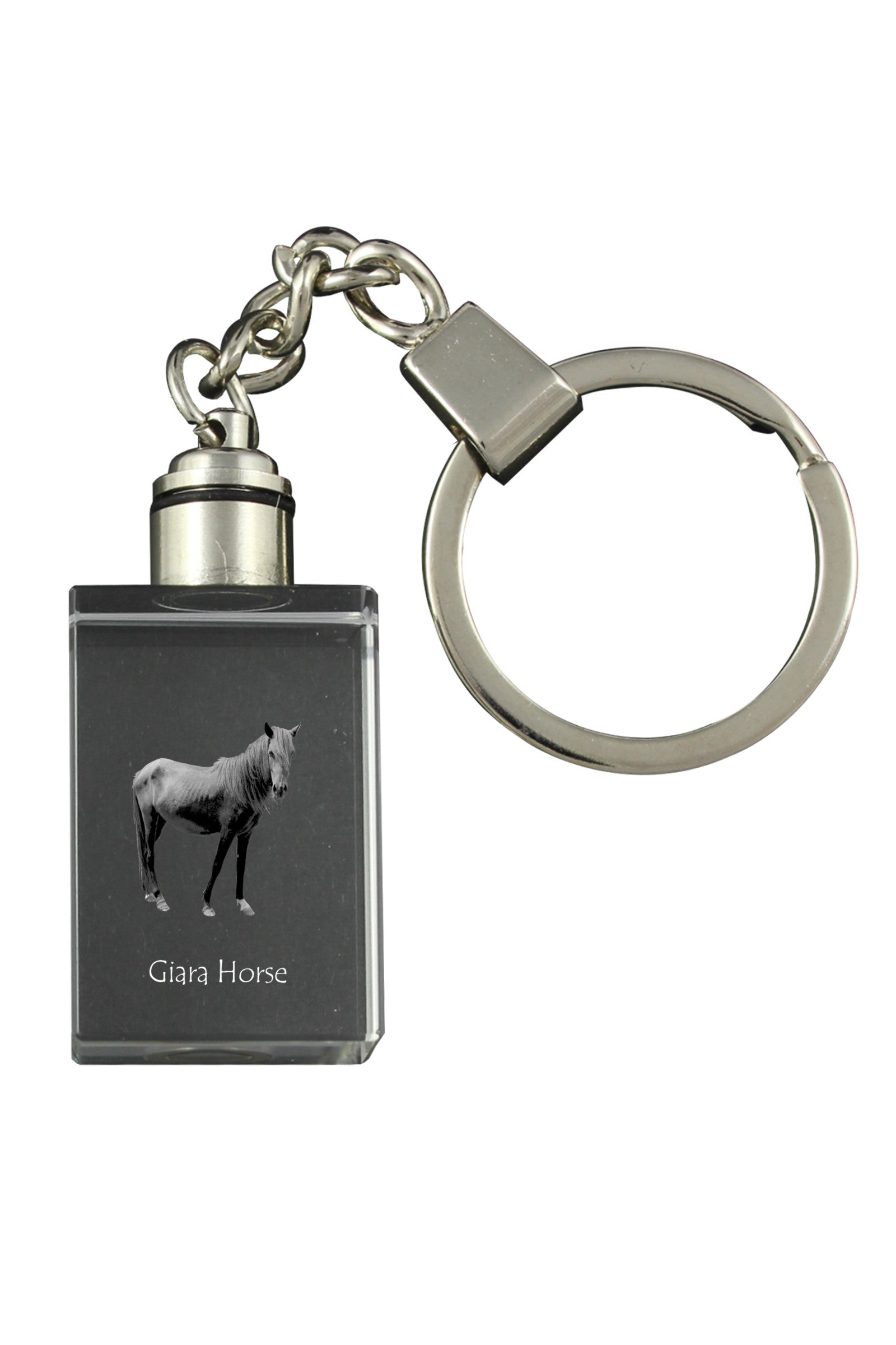 Giara Horse - Crystal pendant with photo of a horse, illuminated pendant, unique gift by Art-Dog brand