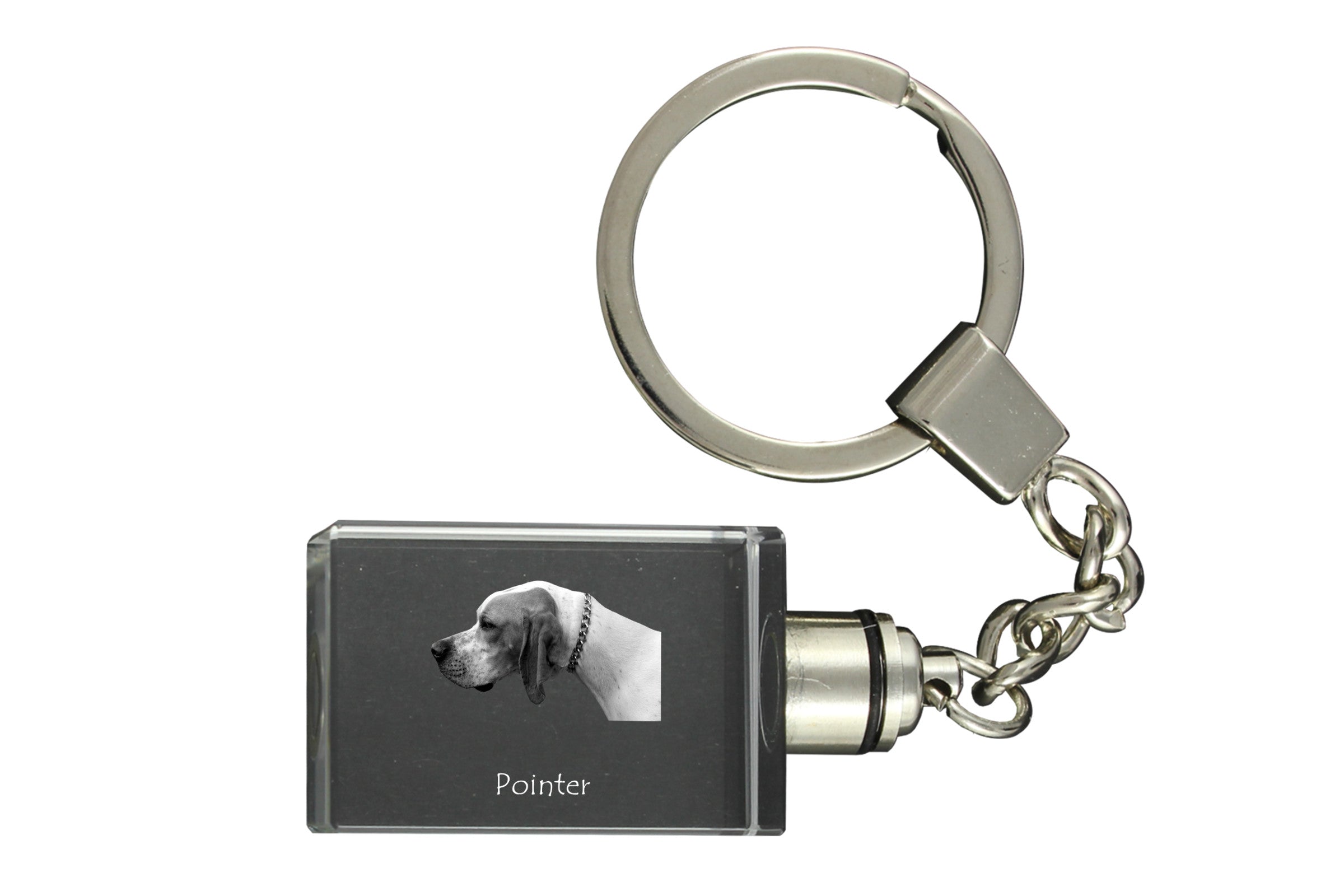 English Pointer I - Crystal key ring with dog photo, illuminated key ring, unique gift by Art-Dog brand