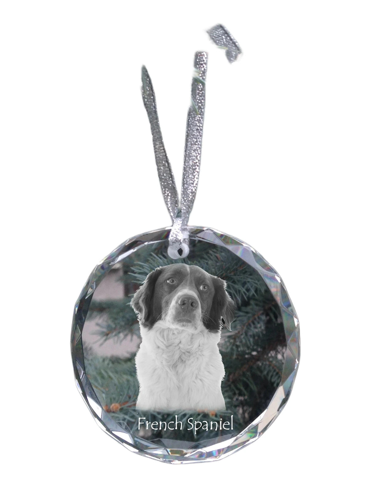 French Spaniel, French Setter, Canadian Setter - crystal bauble with a photo, dog photo in crystal, personalized Christmas tree ornament by Art-Dog brand