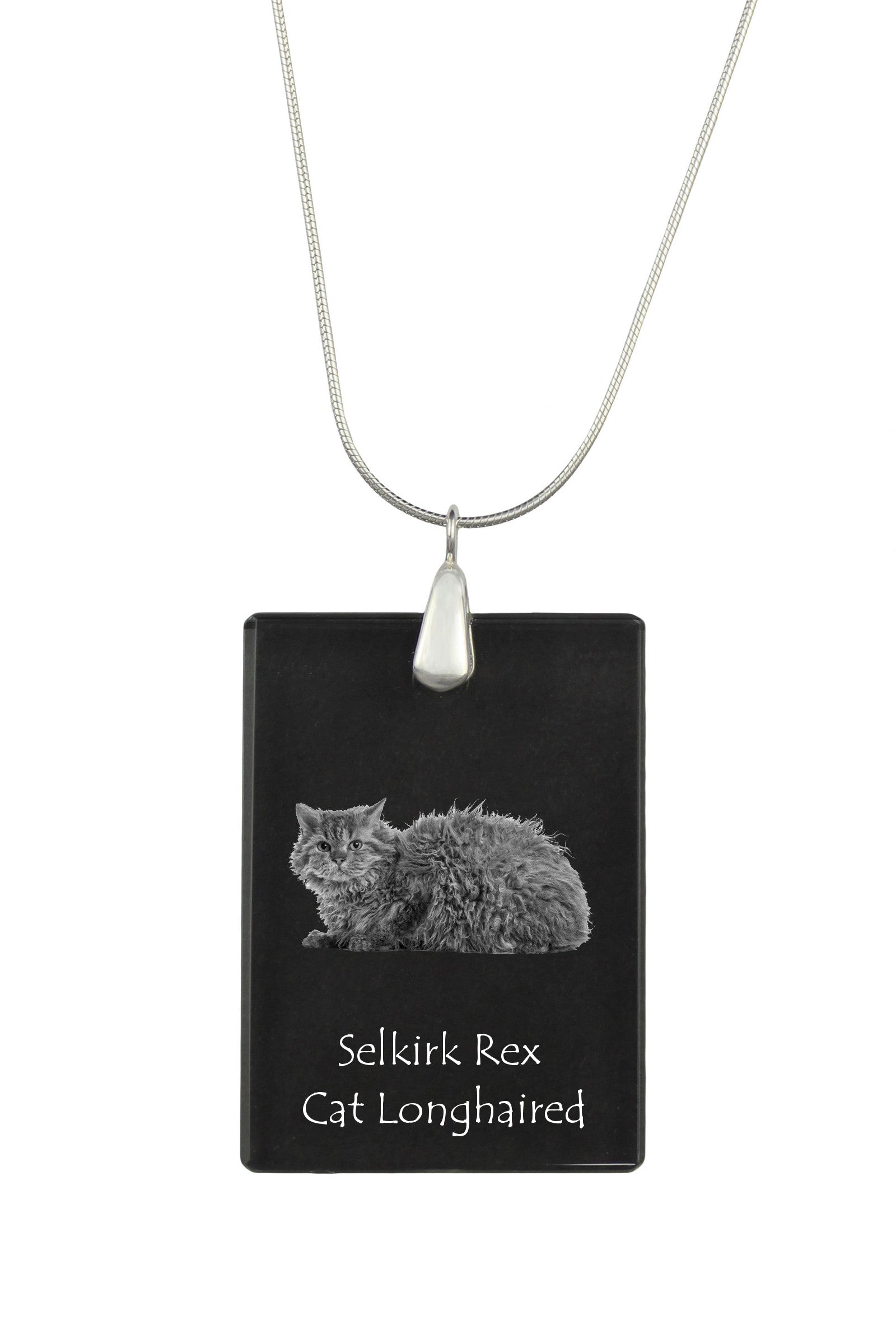 Selkirk Rex Longhaired - Crystal pendant with cat, silver necklace with photo, personalised pendant by Art-Dog brand