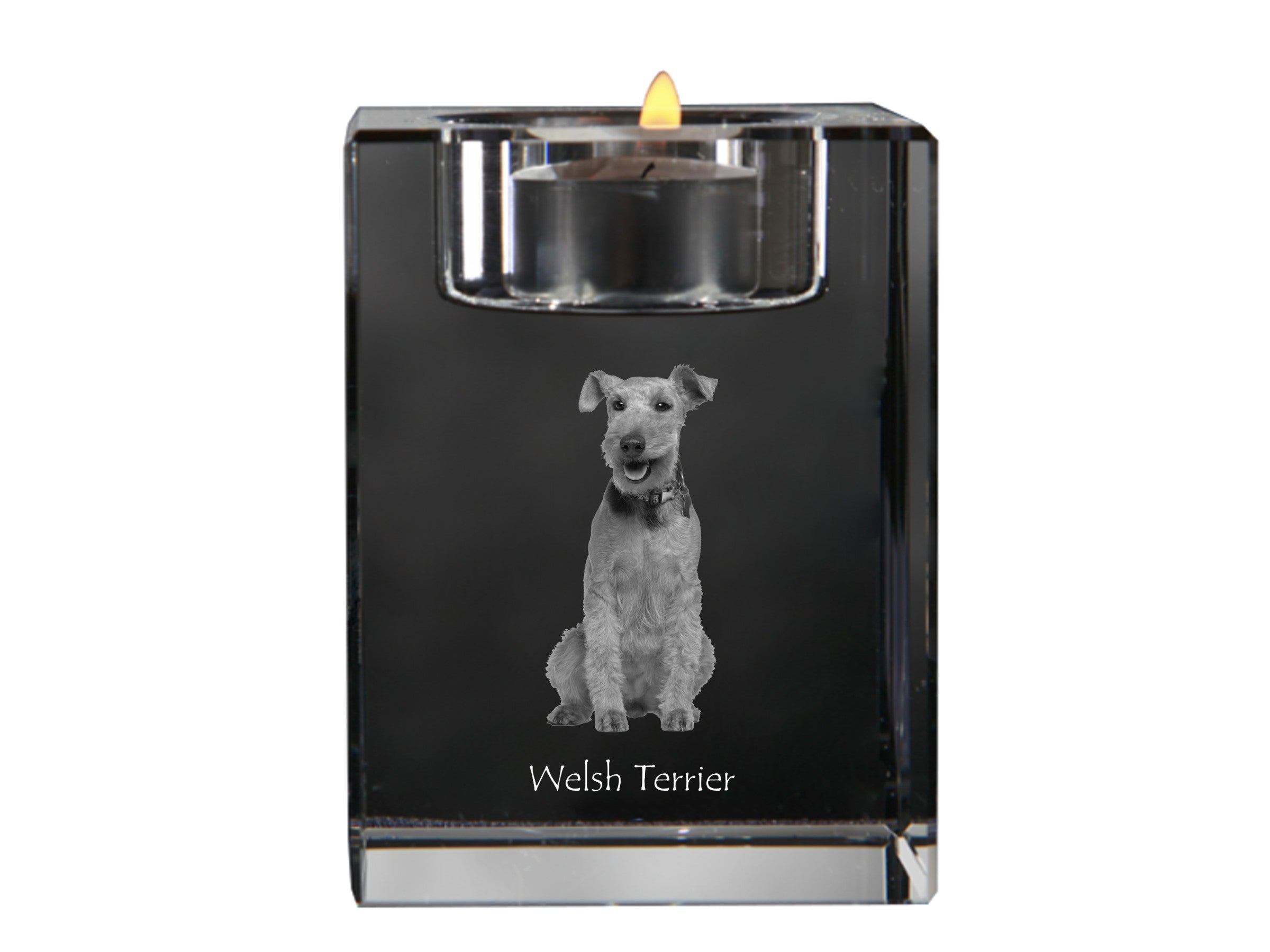 Welsh Terrier, Welshie, Daeargi Cymreig - Candle holder with dog photo, crystal tealight holder, personalised gift by Art-Dog brand