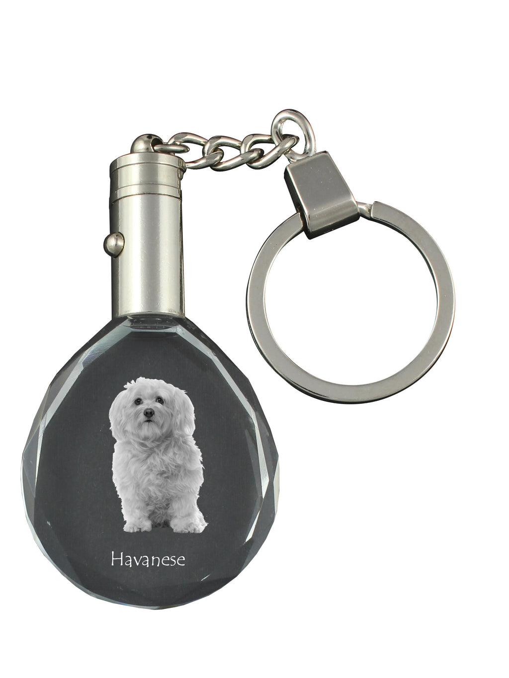 Havanese, Havanese Cuban Bichon, Bichón Havanés - pendant with a photo of a dog, crystal key ring in a gift box, a unique gift by Art-Dog