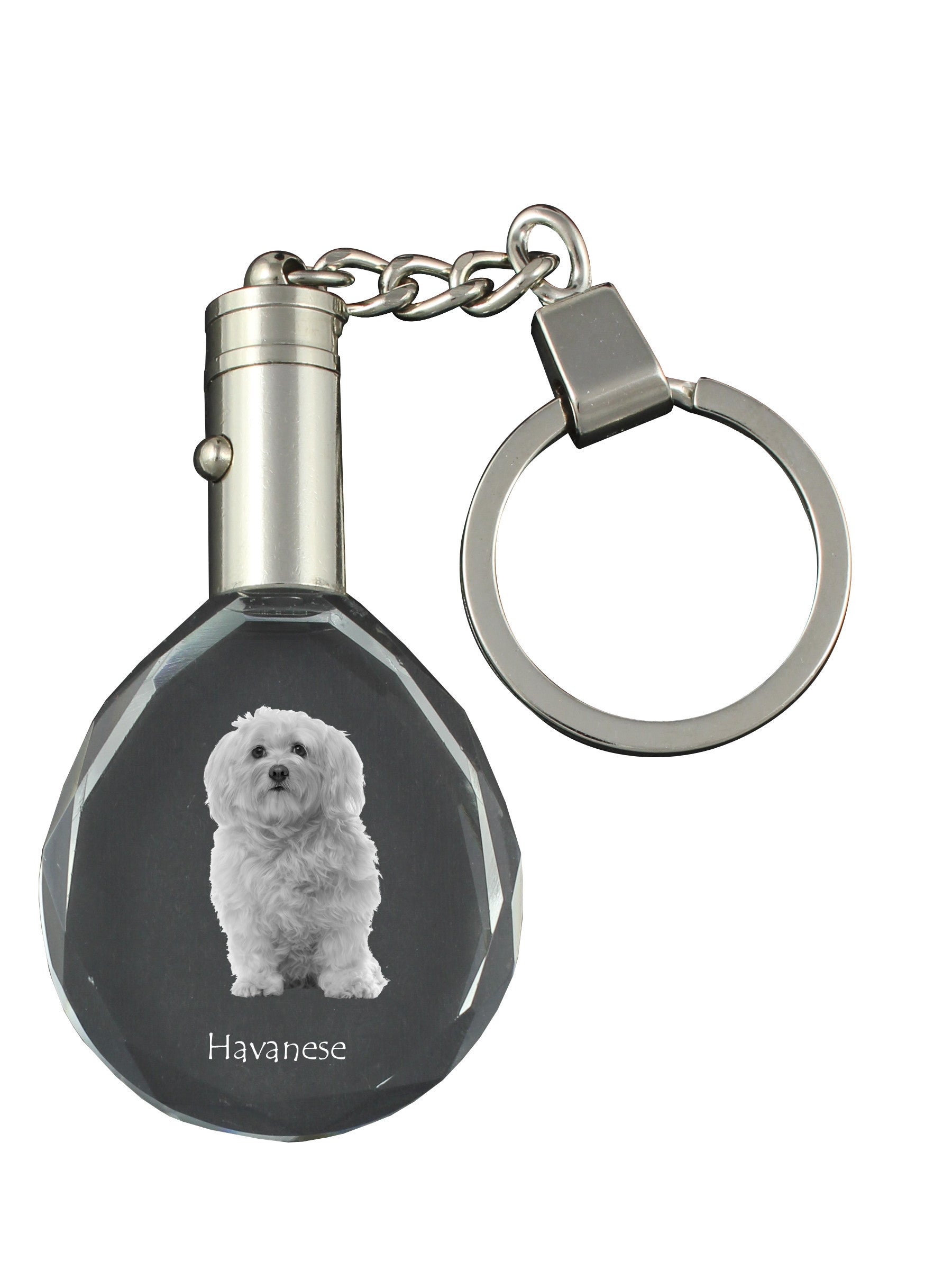 Havanese, Havanese Cuban Bichon, Bichón Havanés - pendant with a photo of a dog, crystal key ring in a gift box, a unique gift by Art-Dog