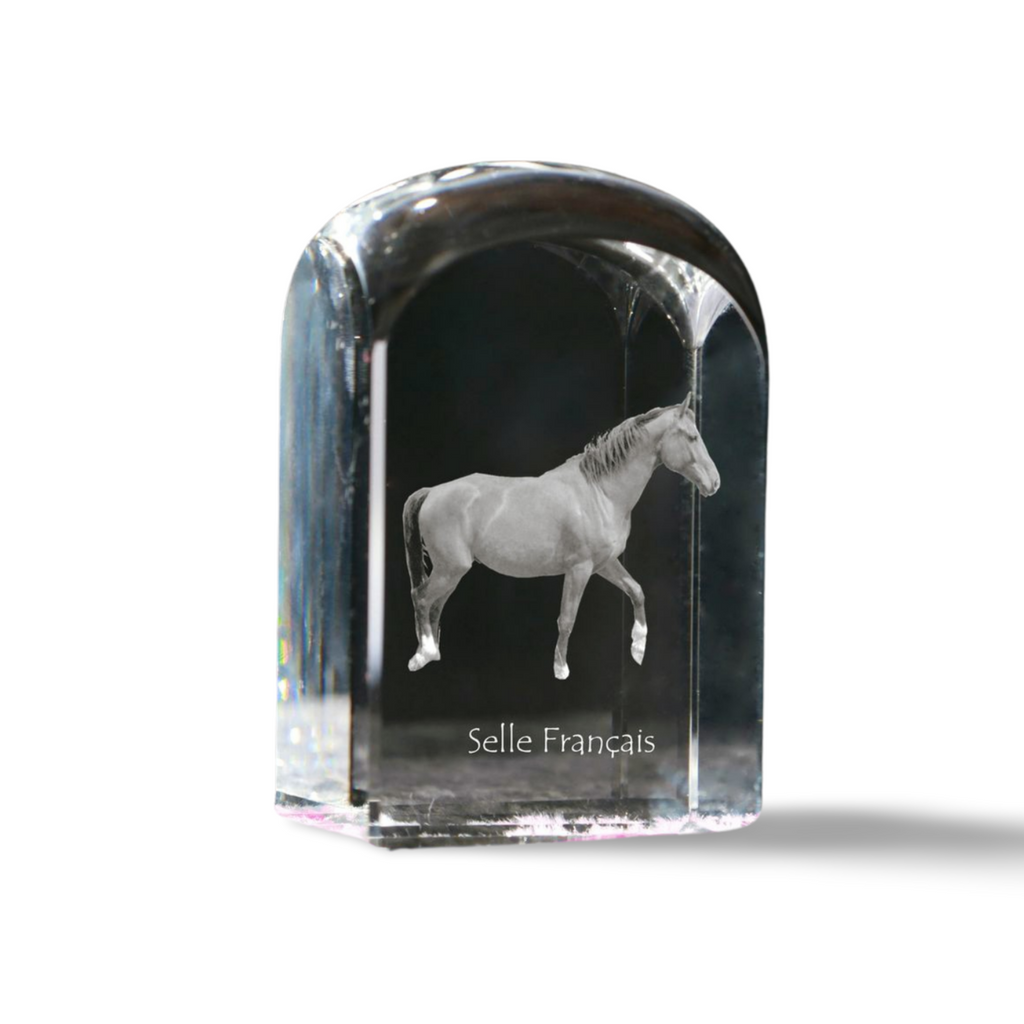 Selle Francais - crystal cube with a photo, photo of a horse in crystal, cubic paperweight from Art-Dog brand