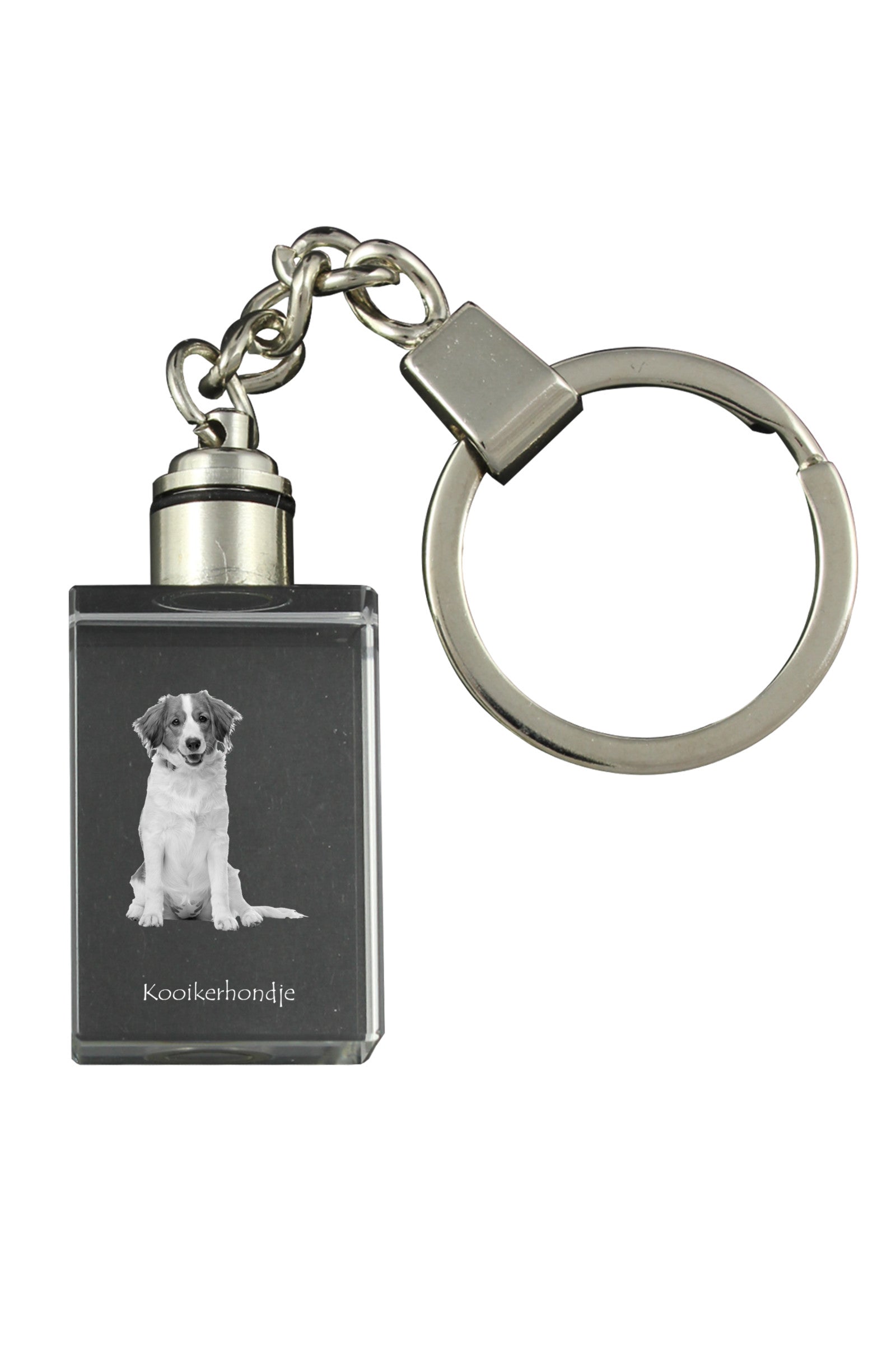 Kooikerhondje - Crystal key ring with dog photo, illuminated key ring, unique gift by Art-Dog brand