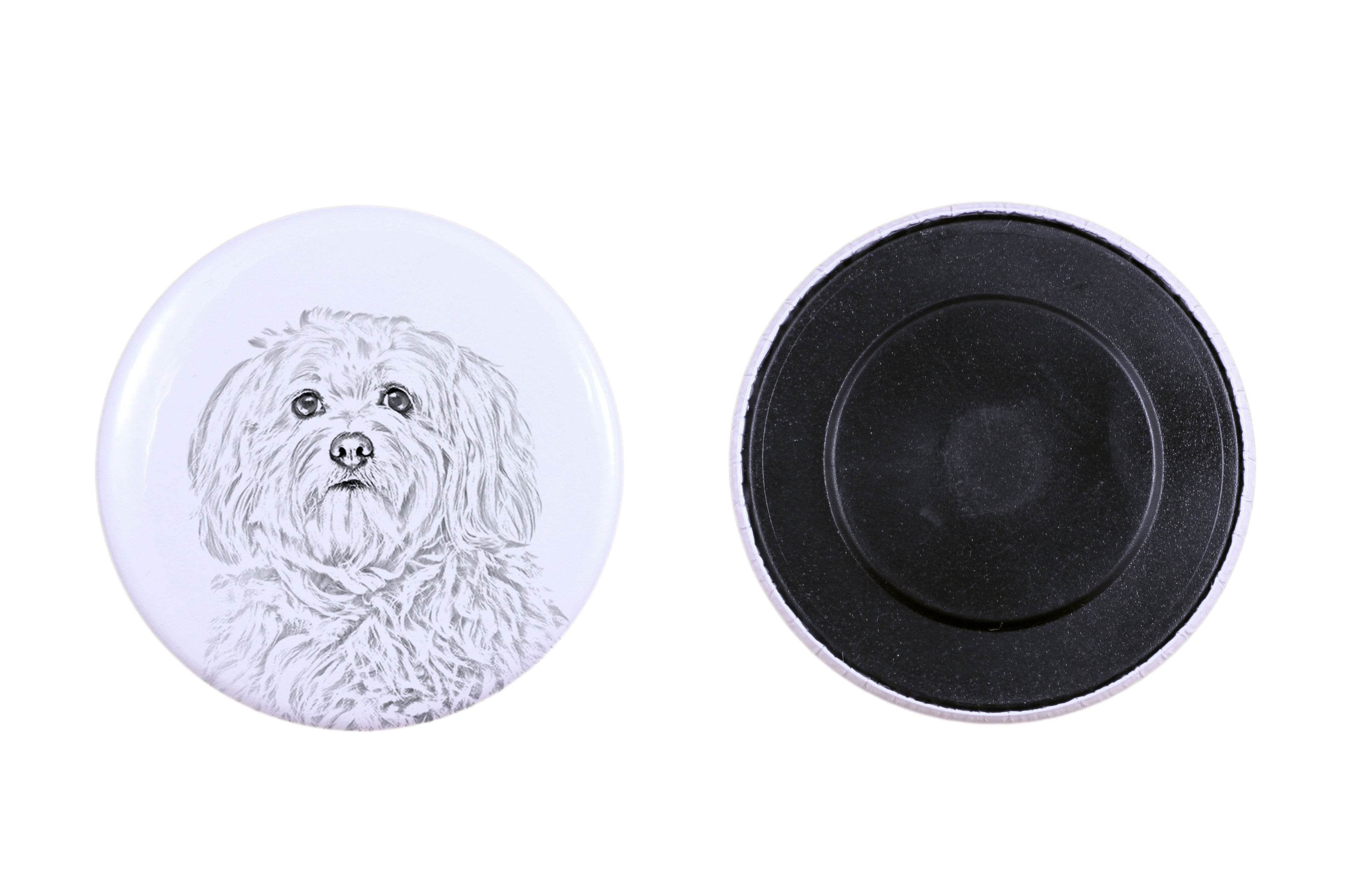 Havanese, Havanese Cuban Bichon, Bichón Havanés - magnet with a dog's pupil, exceptionally light, strong magnet, handmade product by the Art-Dog brand