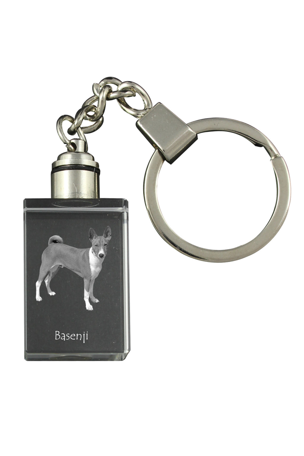 Basenji, African bush dog, Congo dog - Crystal key ring with dog photo, illuminated key ring, unique gift by Art-Dog brand