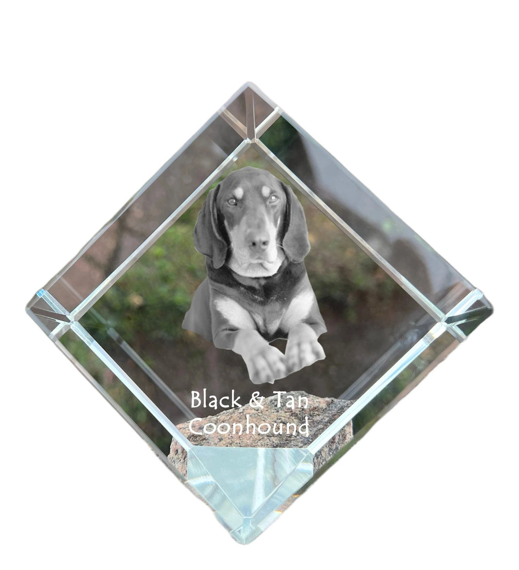 Black and Tan Coonhound I - crystal cube with a photo, photo of a horse in crystal, cubic paperweight from Art-Dog brand