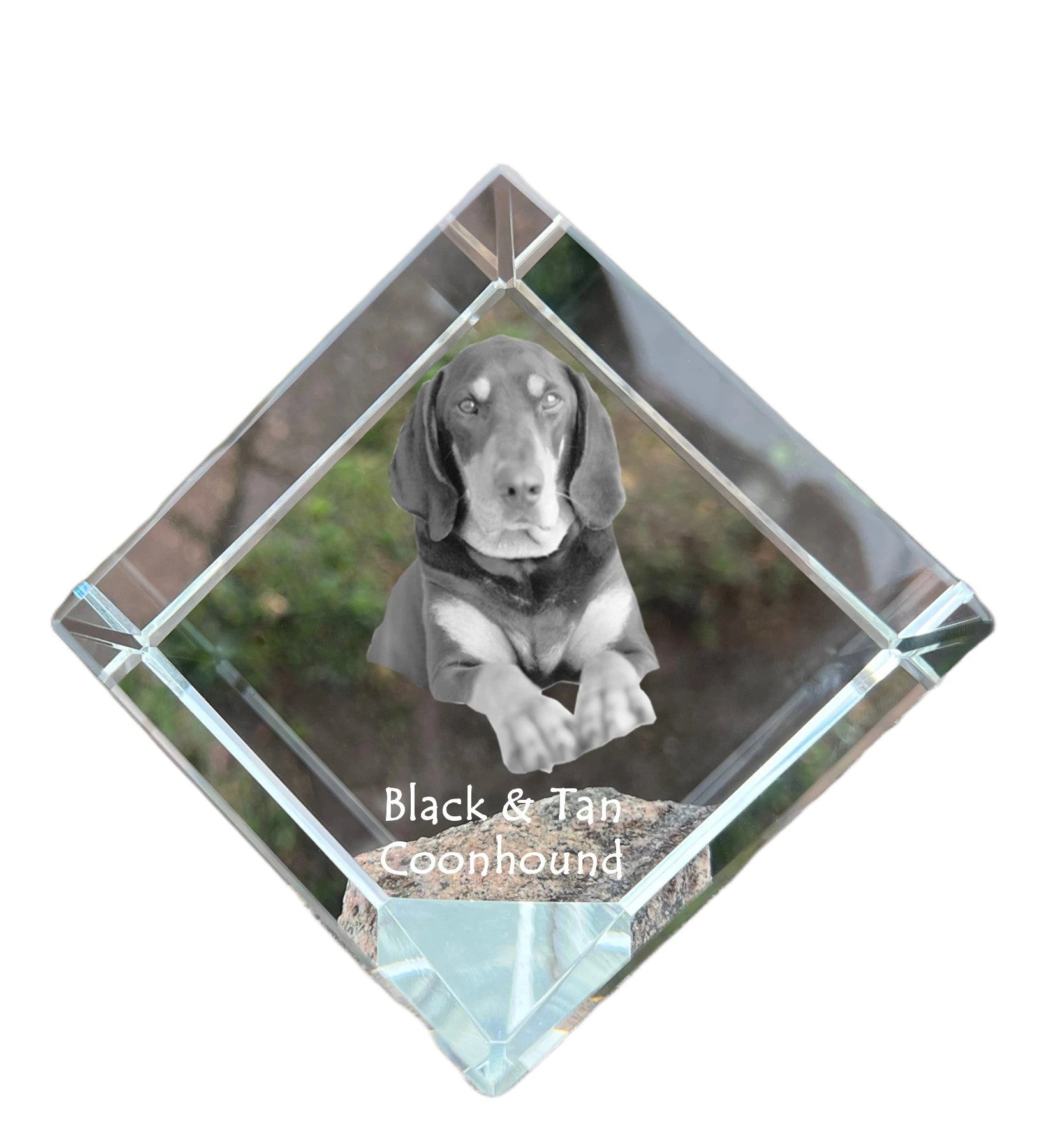 Black and Tan Coonhound I - crystal cube with a photo, photo of a horse in crystal, cubic paperweight from Art-Dog brand