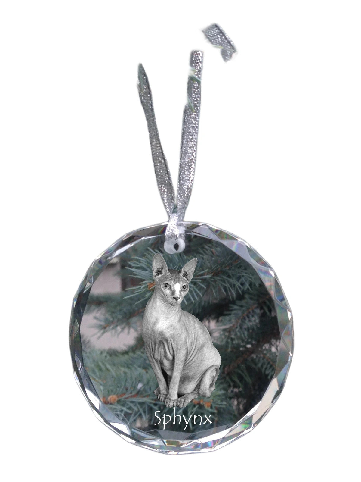 Sphynx - crystal bauble with a photo, photo of a cat in crystal, personalized Christmas tree ornament by Art-Dog brand