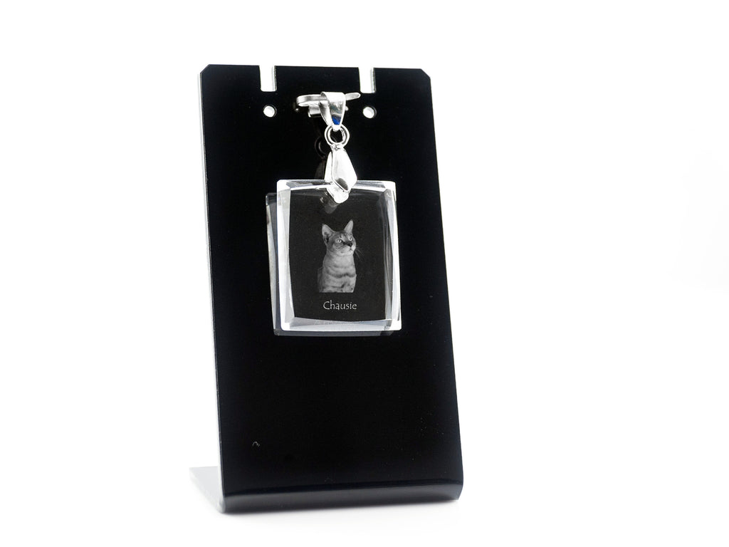 Chausie - Crystal cat pendant, photo necklace, unique jewellery by Art-Dog