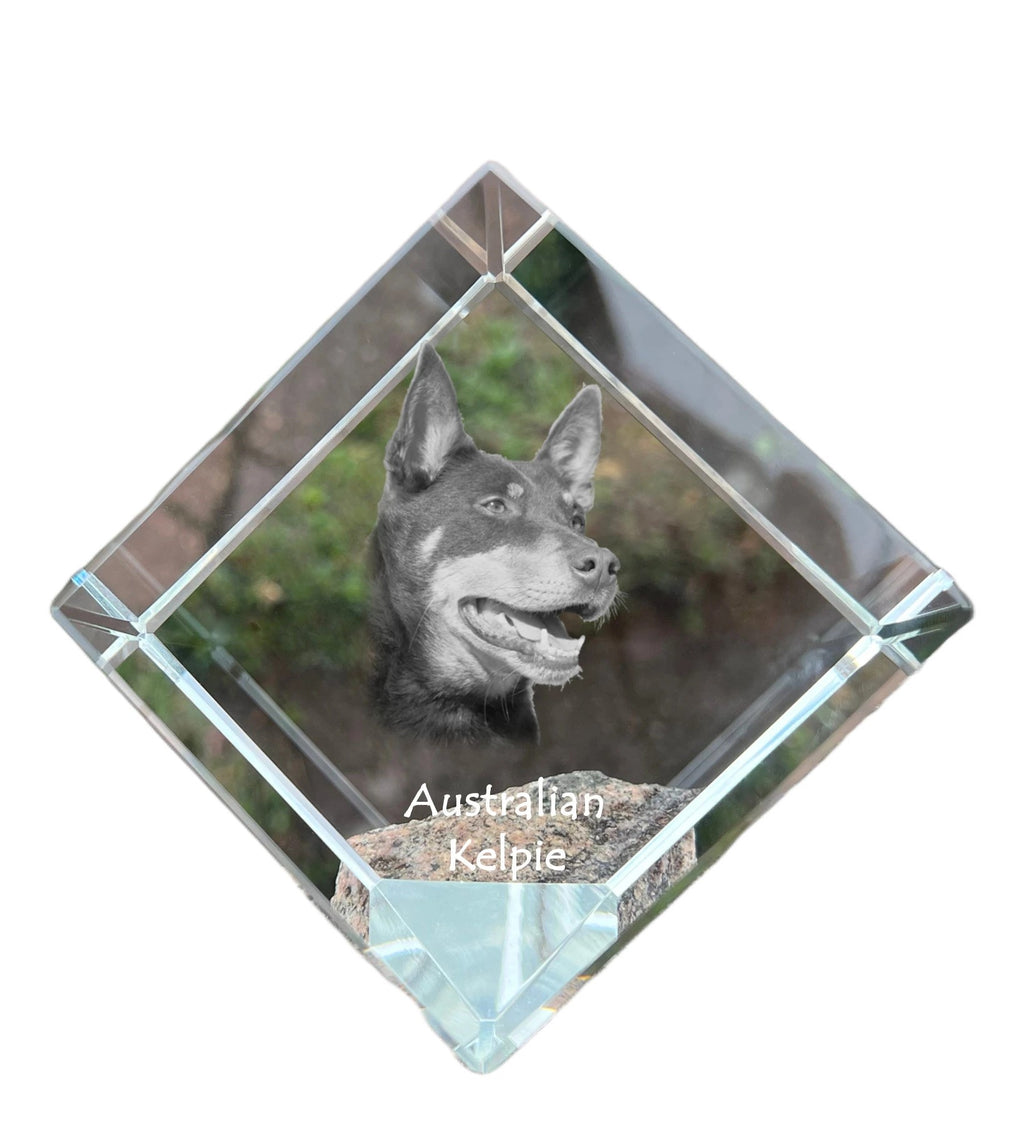 Australian Kelpie, Barb, Farmer Dog - crystal cube with a photo, photo of a horse in crystal, cubic paperweight from Art-Dog brand