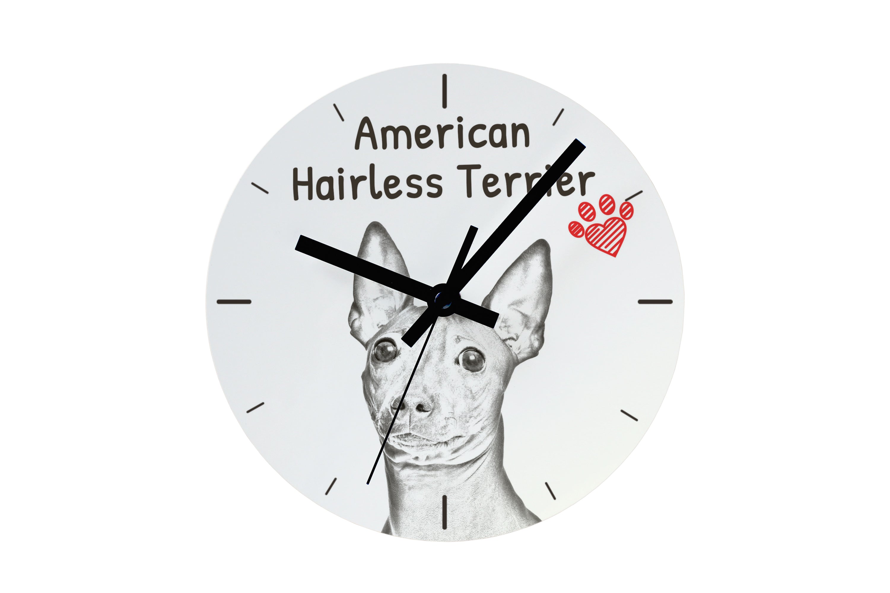 American Hairless Terrier - wall clock with a dog, shelf clock with a print, personalized home decoration from the Art-Dog brand