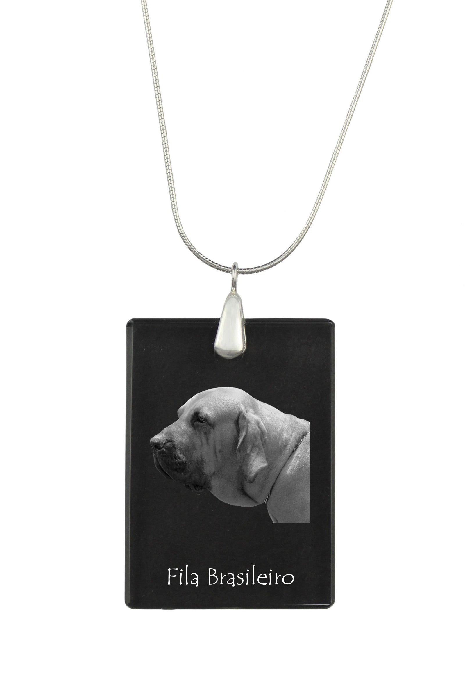 Fila Brasileiro - Crystal pendant with dog, silver necklace with photo, personalised pendant by Art-Dog brand