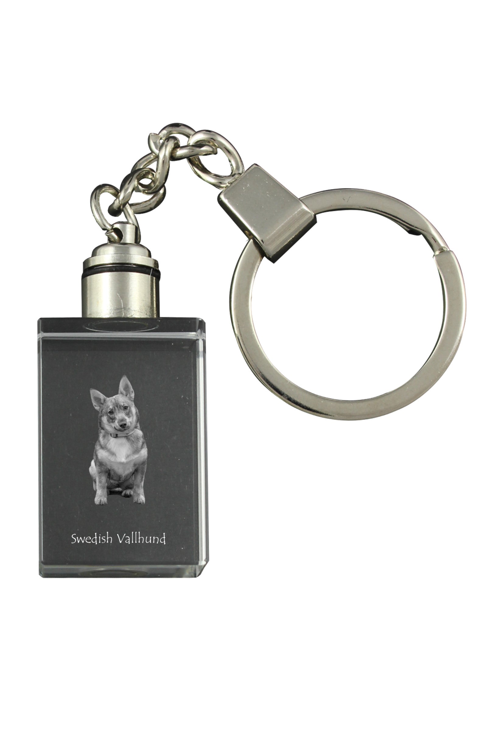 Swedish Vallhund, Swedish Cattle Dog, Swedish Shepherd - Crystal key ring with dog photo, illuminated key ring, unique gift by Art-Dog brand
