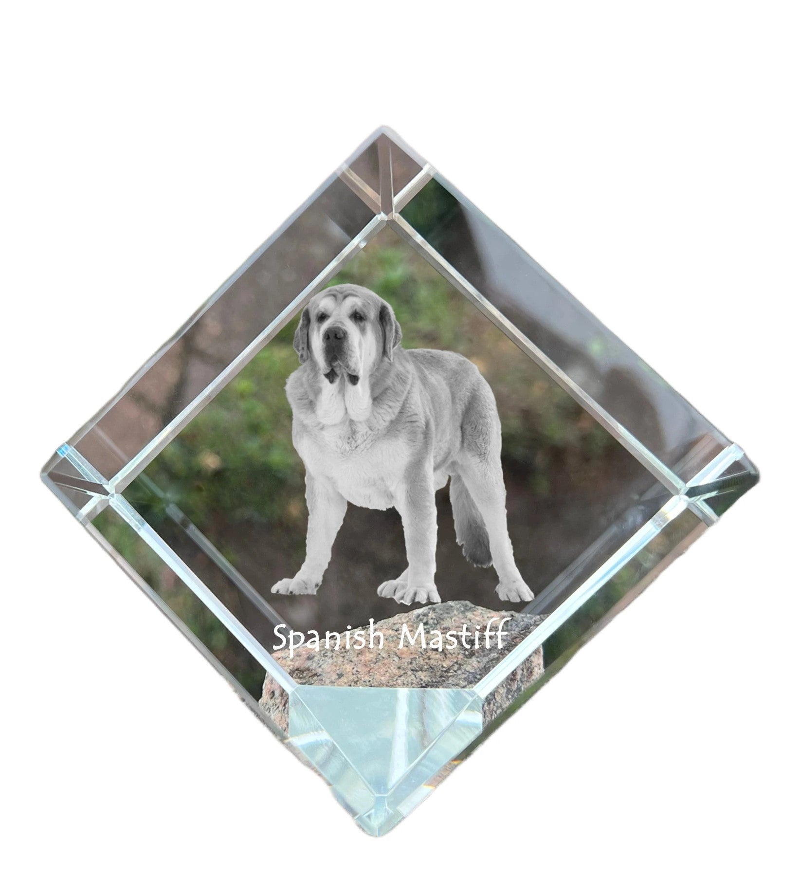Spanish Mastiff, Mastín Español - crystal cube with a photo, photo of a horse in crystal, cubic paperweight from Art-Dog brand