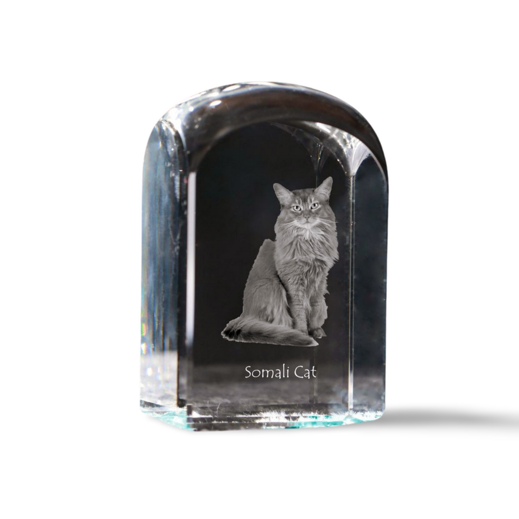 Somali - crystal cube with a photo, photo of a cat in crystal, cubic paperweight from Art-Dog brand