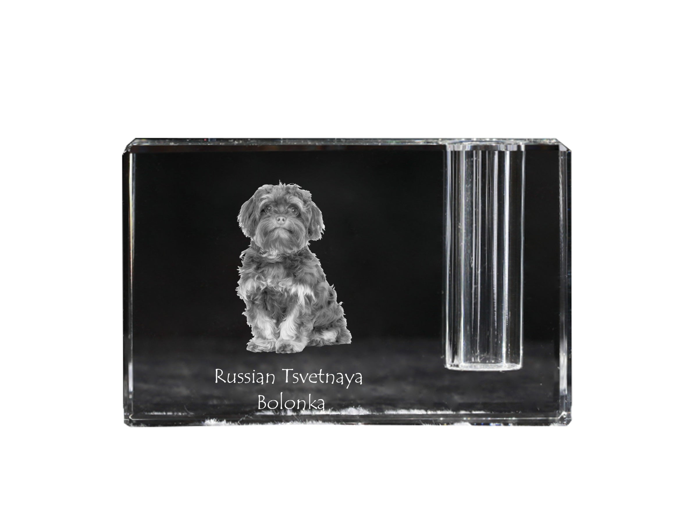 Bolonka, Russian Tsvetnaya Bolonka - Pen stand, crystal organiser with dog photo, unique desk decoration by Art-Dog brand