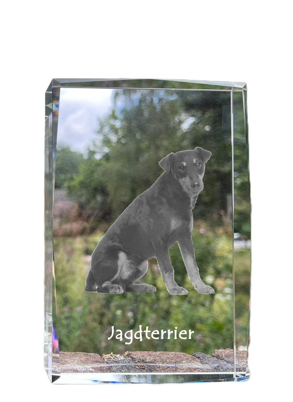 Jagdterrier - crystal with a picture of a dog, photo in glass, modern exhibition of Art-Dog brand photo
