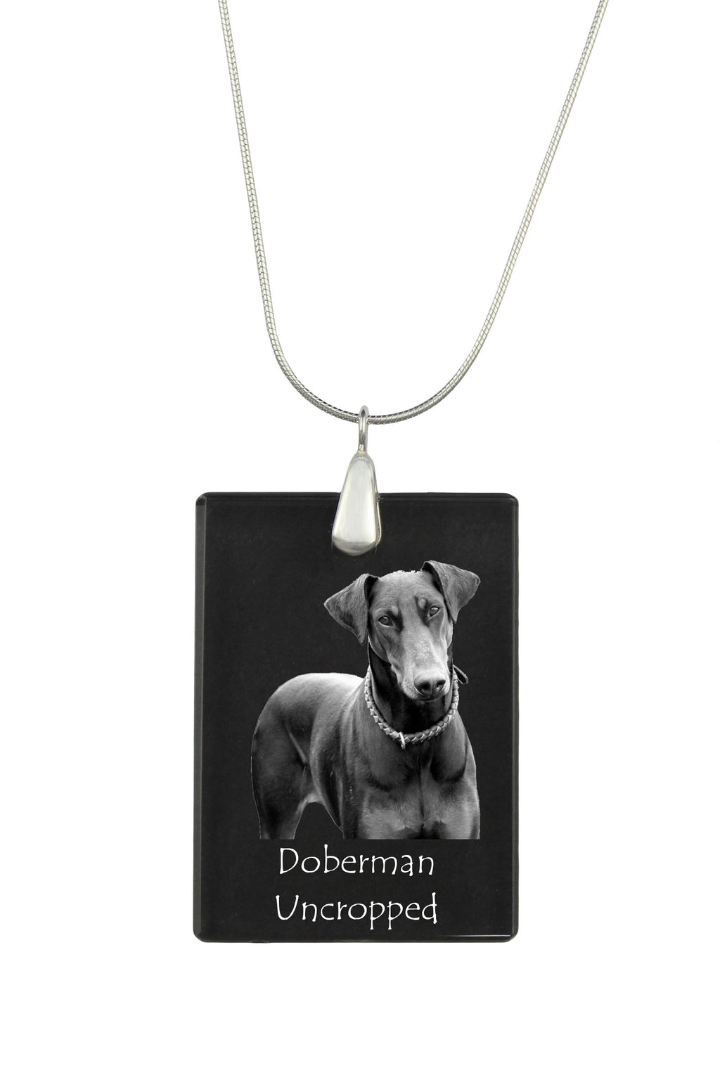 Dobermann, Doberman Pinscher, Dobie I - Crystal pendant with dog, silver necklace with photo, personalised pendant by Art-Dog brand