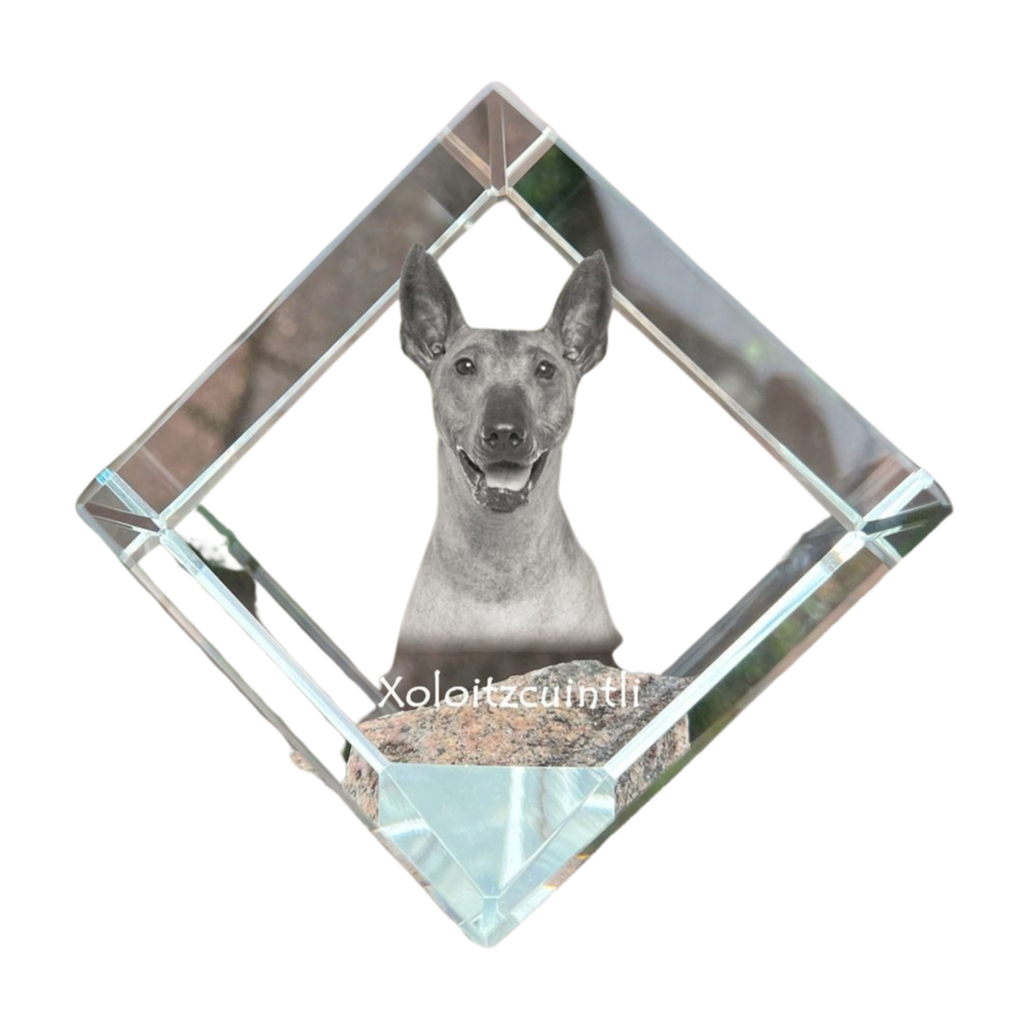 Xoloitzcuintle, Mexican Hairless Dog, Xoloitzquintle - crystal cube with a photo, photo of a horse in crystal, cubic paperweight from Art-Dog brand