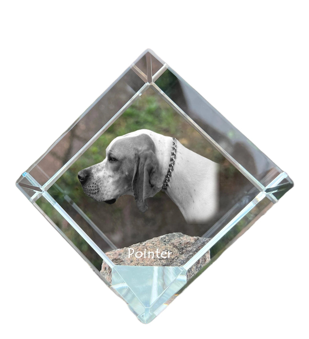 English Pointer I - crystal cube with a photo, photo of a horse in crystal, cubic paperweight from Art-Dog brand