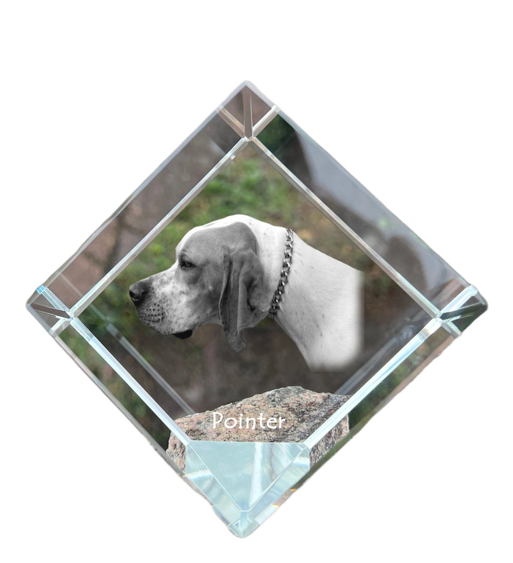 English Pointer I - crystal cube with a photo, photo of a horse in crystal, cubic paperweight from Art-Dog brand