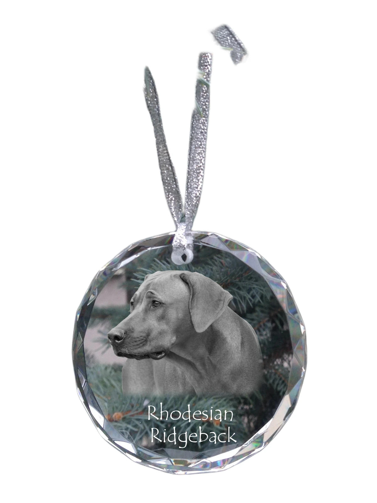 Rhodesian Ridgeback, African Lionhound, African Lion Dog - crystal bauble with a photo, dog photo in crystal, personalized Christmas tree ornament by Art-Dog brand