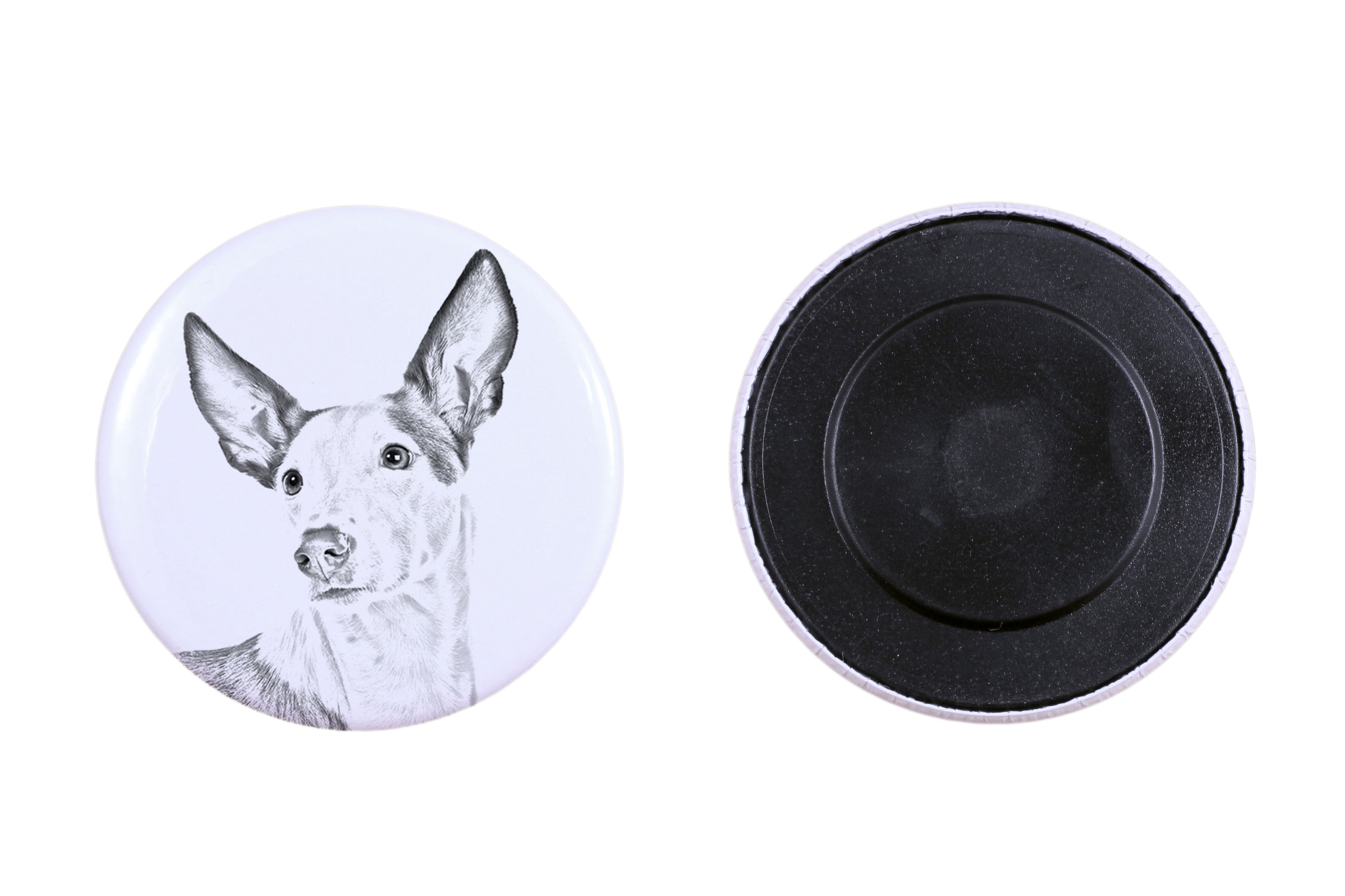 Ibizan Hound, Ibizan Podenco, Ibizan Warren Hound - magnet with a dog's pupil, exceptionally light, strong magnet, handmade product by the Art-Dog brand