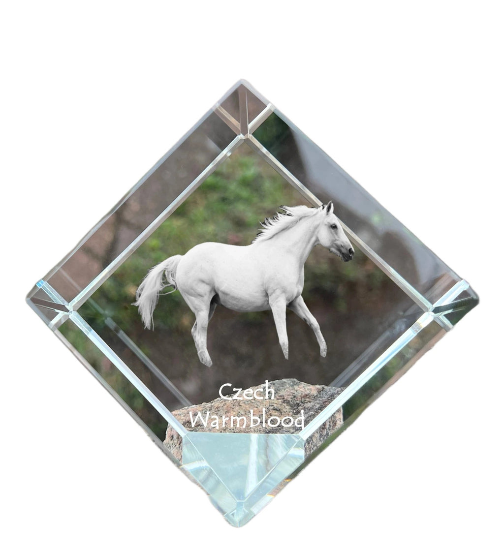 Czech Warmblood - crystal cube with a horse picture, horse picture in crystal, cubic paperweight from Art-Dog brand