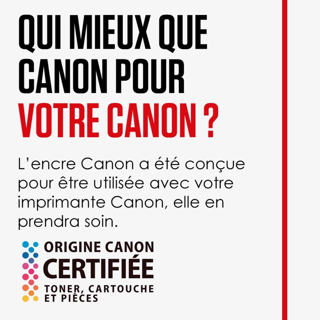 Canon Cartouche d'encre d'origine noir PG-545 XL