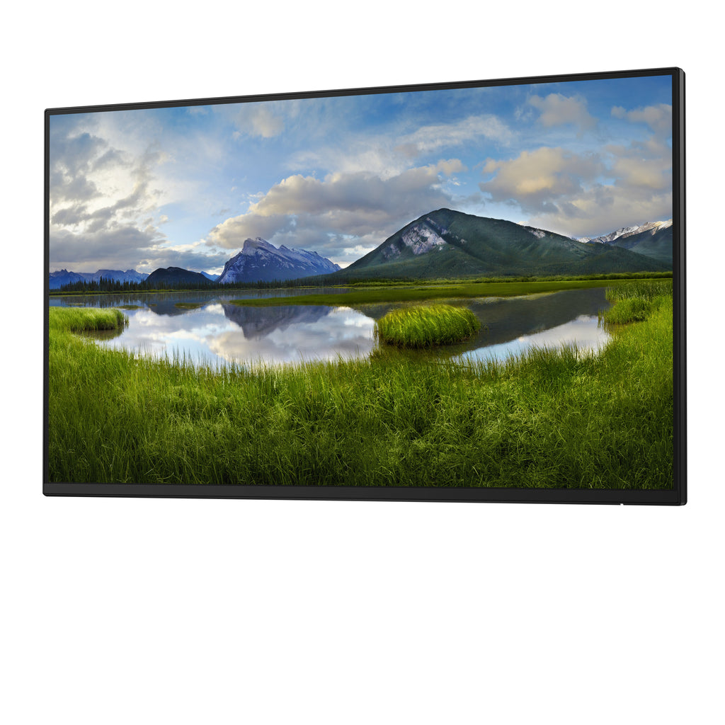 DELL Pro Plus P2425H_WOST écran plat de PC 61 cm (24") 1920 x 1080 pixels Full HD LCD Noir