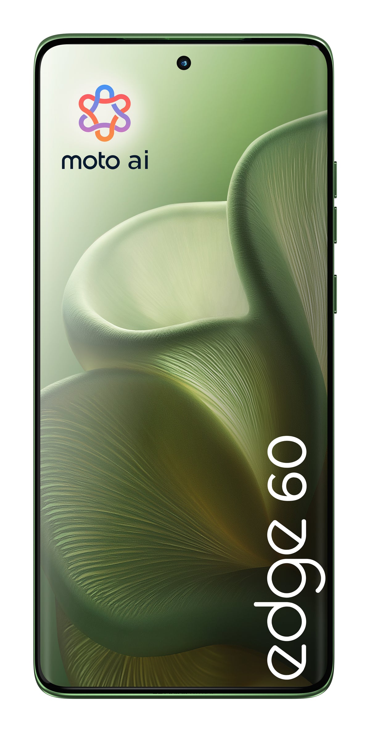 Motorola edge 60 16,9 cm (6.67") Double SIM Android 15 5G USB Type-C 12 Go 512 Go 5200 mAh Vert
