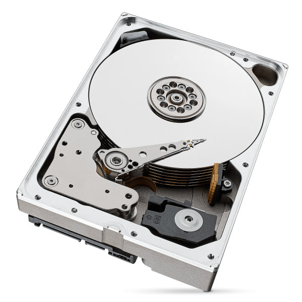 Seagate IronWolf Pro ST10000NT001 Disque Dur 10 To 7200 tr/min 256 Mo 3.5" SATA III