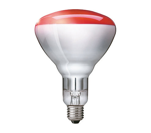 Philips 60800122350 ampoule incandescente 250 W