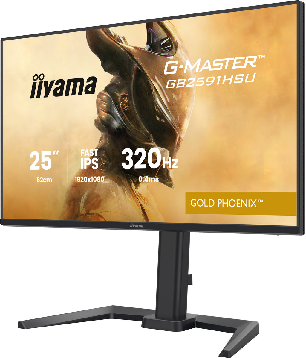 iiyama G-MASTER GB2591HSU-B1 Écran PC 24.5" Full HD LED Noir